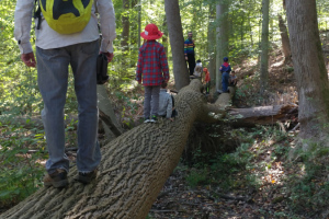 Jerusalem Mill Hike - October 2019